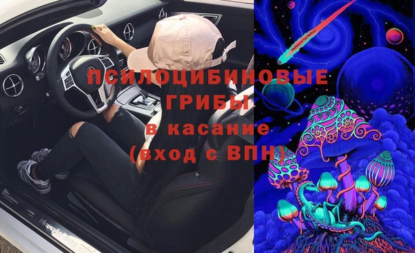 прущие крисы Алексеевка