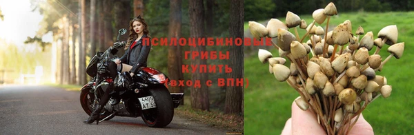 герыч Алзамай
