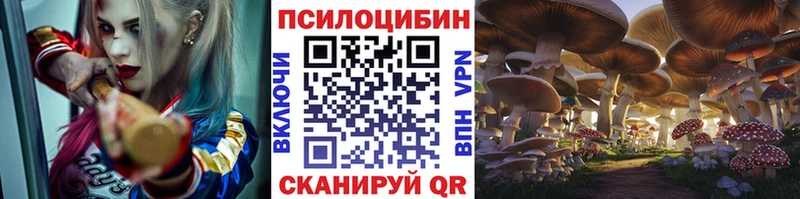 Галлюциногенные грибы мицелий  Купить закладки  Власиха 