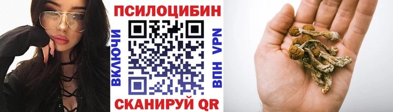 Псилоцибиновые грибы Cubensis Власиха