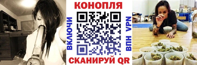 Купить закладки  Власиха  Бошки Шишки сатива 